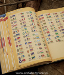Ilustrowany Atlas Świata